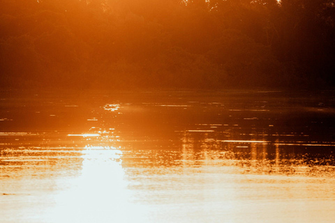 Manaus: 4-Day Amazon Jungle Trip with Alligator Spotting