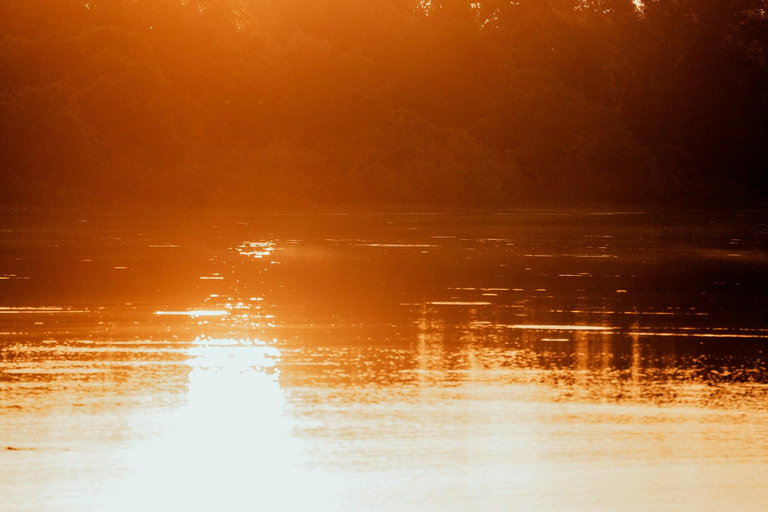 Manaus: 4-Day Amazon Jungle Trip with Alligator Spotting