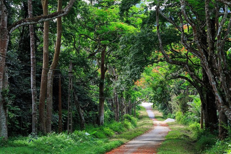 La mejor excursión fácil por el Parque Nacional de Cuc Phuong