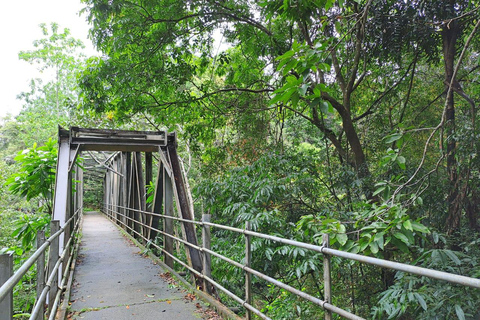 辛哈拉加雨林之旅