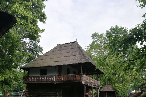 Tour panoramico di Bucarest con tre tappe e due visite.