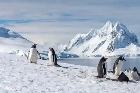 Ushuaia: 13-Day Antarctica Classic in Depth Expedition