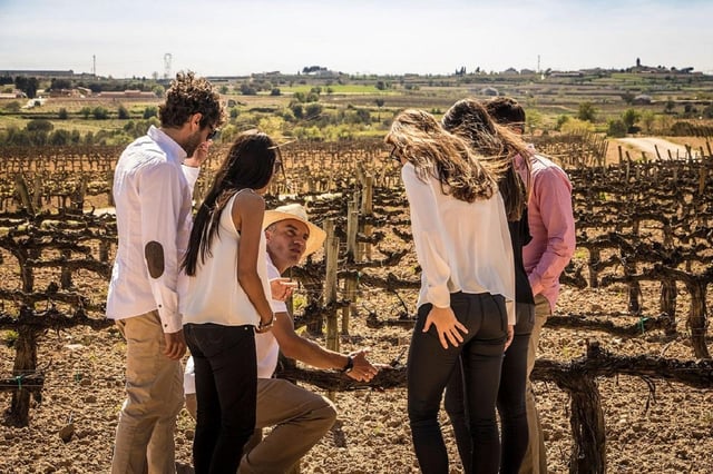 Barcelona: Excursión en Velero y Bodegas Alella con Cata de Vinos