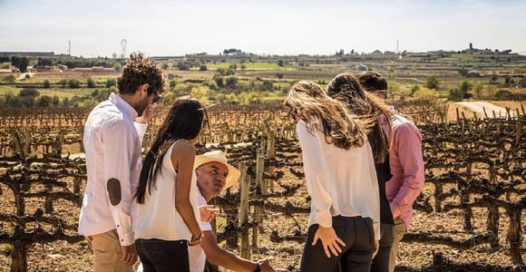 Barcelona: Segeln und Alella Winery Tour mit Weinverkostung