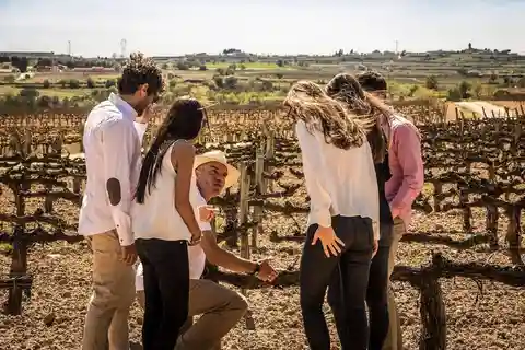 Barcelona: Segeln und Alella Winery Tour mit Weinverkostung