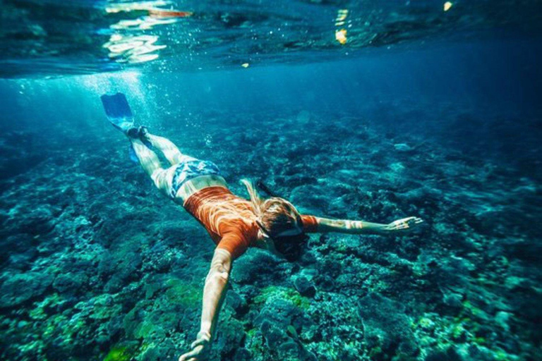 Bali: Snorkel en 2 puntos con Comida y Transporte