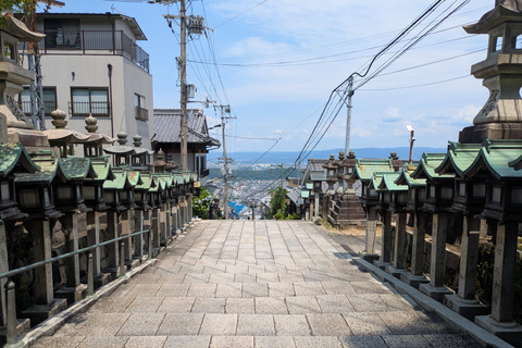 From Osaka: Horyuji Temple and Mount Ikoma Day Tour