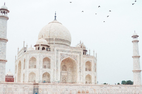 Delhi: Same-Day Taj Mahal Trip with India's Fastest Train