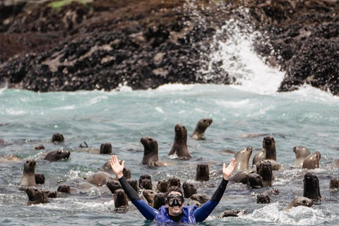 Lima: Wyspy Palomino na jachcie z pływaniem z morskimi lwamiLima: Jachtem na Wyspy Palomino i pływanie z morsami