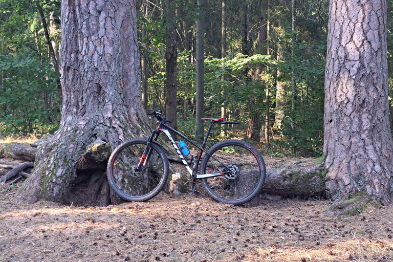 Vilnius: Verkiai Park & Green Lakes Self-guided Bike Tour