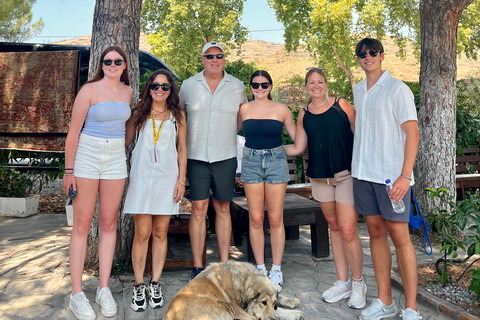 Marmaris: Best Of Ephesus Tour for Cruise & Yacht Guests