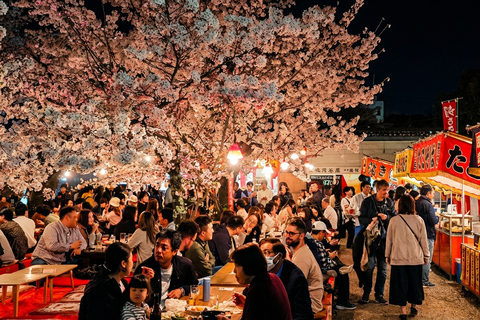 Kyoto Cherry Blossom Night: Izakaya Walk Kyoto Cherry Blossom Night: Izakaya Walk