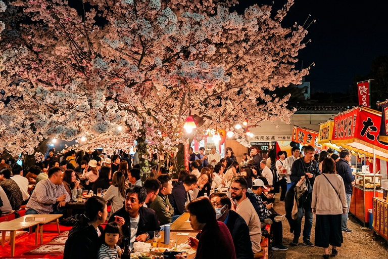 Kyoto Cherry Blossom Night: Izakaya Walk Kyoto Cherry Blossom Night: Izakaya Walk