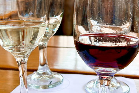 Visite de la cave Tacama - Tour Don Manuel avec dégustationVisite du vignoble Tacama - Don Manuel et dégustation