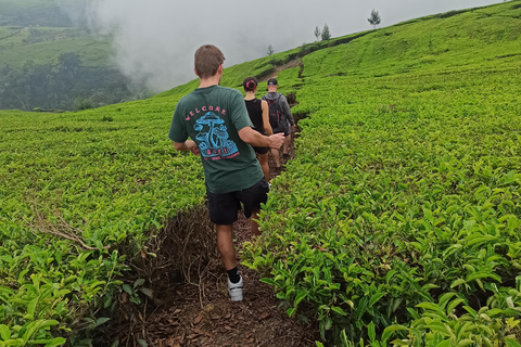 Vulcano, sorgenti calde, bagni di fango e tour del tè: tutto inclusoGiro aperto