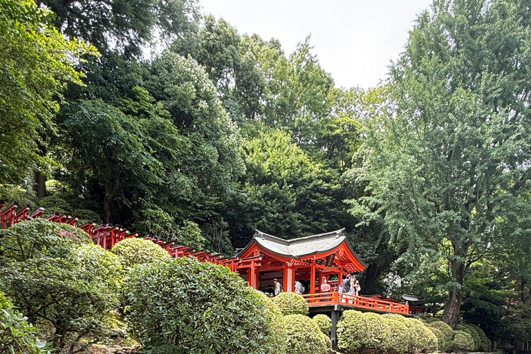 Tokyo: Customizable, Enjoyable and Memorable Private Tour