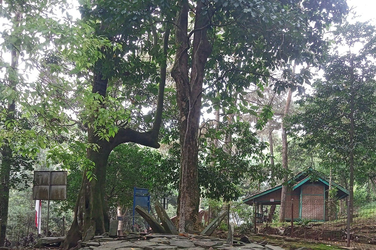 Bogor Botanical Garden and Domas Megalithic Site Tour
