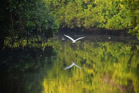 Excursion en kayak dans les eaux intérieures