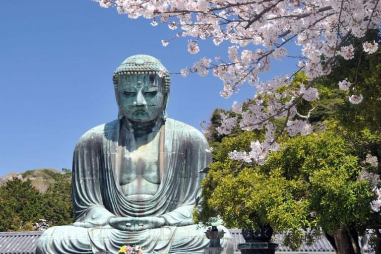 Tokyo Nagano Snow Monkey Park and Zenkoji Temple Tokyo Nagano Snow Monkey Park and Zenkoji Temple with Guide