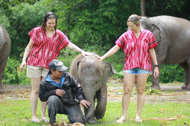 Chiang Mai: Elephant Sanctuary, Waterfall & Bamboo Rafting