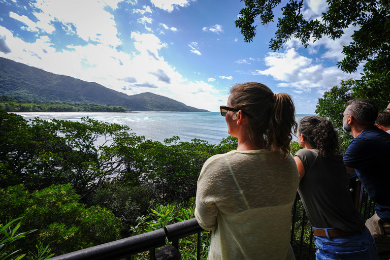 Depuis Port Douglas : Expérience totale de la Daintree en petit groupePort Douglas : Expérience totale de la Daintree en petit groupe