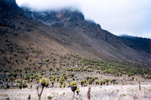 5 Days Mt Kenya Climb Sirimon Down Narumoru Route