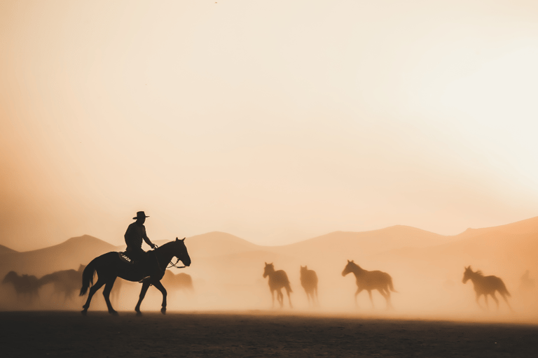 Reite durch die Dünen: Wüstenabenteuer zu Pferd in Doha
