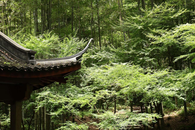 Hangzhou Yunqi Bamboo Trail Admission Ticket