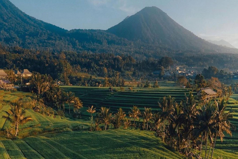 North Bali: Taman Ayun Temple, Jatiluwih, Campuhan Waterfall North Bali Tour with Central Bali Area pick up