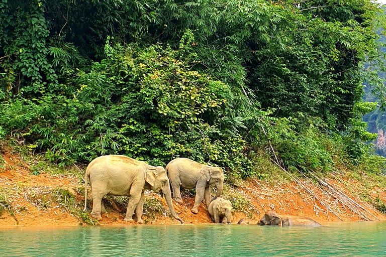 Khao Sok: Overnight Raft House Cheow Lan Lake & Coral Cave Option 1: Join Trip Raft House with Fan & *Shared Bathroom