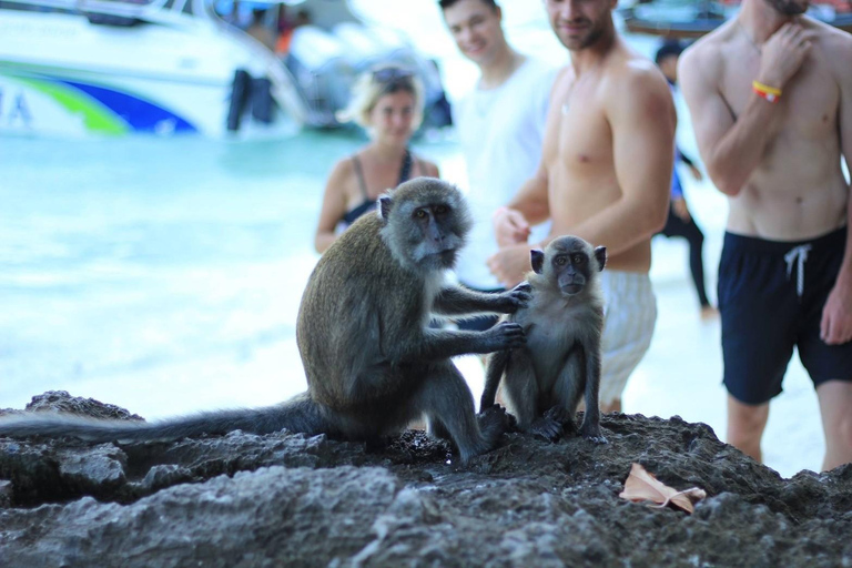 Phuket: Tour di un giorno di PhiPhi, Maya Bay e Khai Island in motoscafo