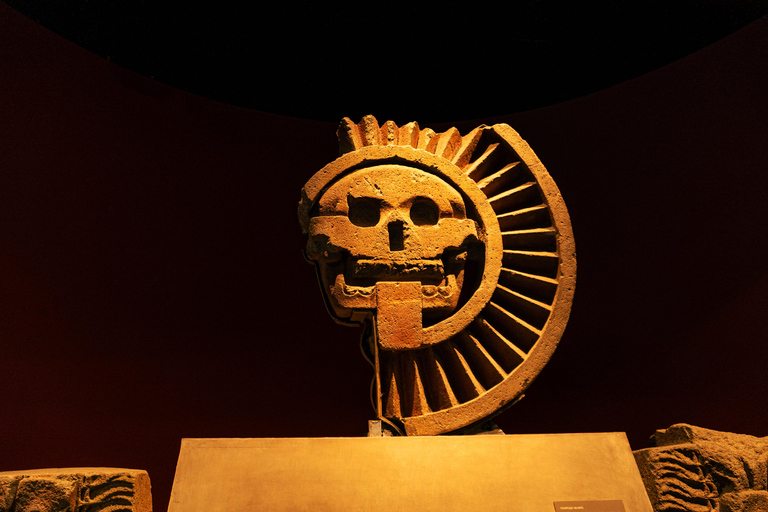 Mexico City: Anthropology Museum Art Tour with Guide