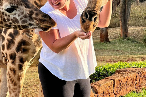 Nairobi: Giraffe Center And Karen Blixen Tour Nairobi: Giraffe center and Karen blixen