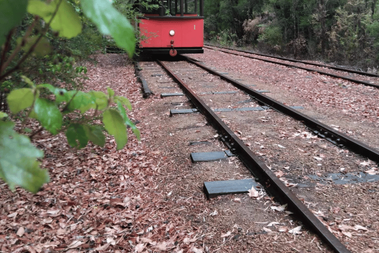 Pemberton: Iconic Heritage Tram Tour One Way Tram Tour