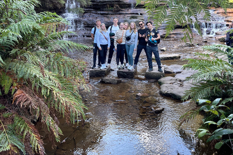 Von Sydney aus: Blue Moutains und Featherdale Tagestour