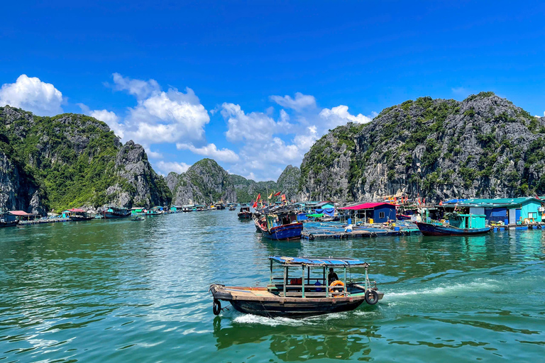 Hanoi/Catba: 2-Day Adventure Cat Ba National Park,Lan Ha Bay From Hanoi: 2-Day Adventure