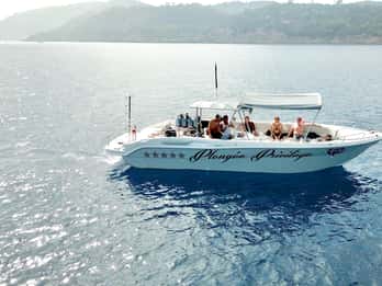 Bormes-les-Mimosas: snorkeling trip