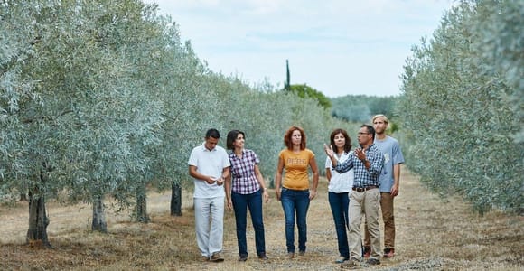 Moncarapacho: Olive Oil Tour with Tasting