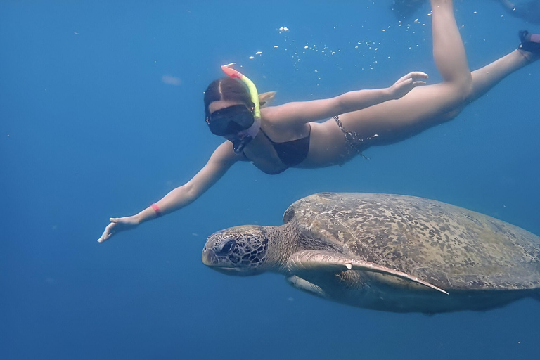 Koh Tao: Excursión de snorkel a la isla de Nang Yuan y bahías ocultas