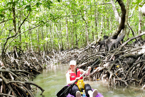 Langkawi : Mangrove kajaktour met lunch (ochtend)