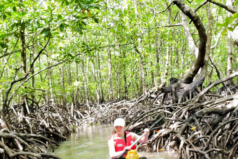 Langkawi : Kajakutflykt i mangrove med lunch (morgon)