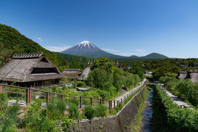 Tokyo: Mt Fuji Full-Day Private Tour of Top Best Places