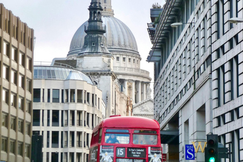 London: Premium 20+ Sights Tour with Expert Local Guide