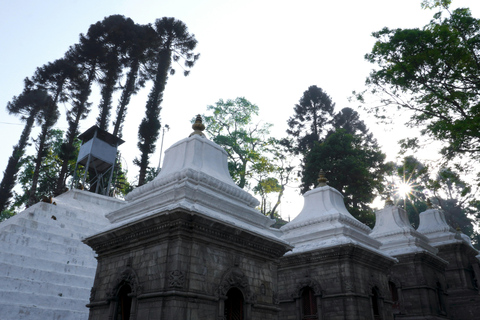 O melhor de Kathmandu: Guia de turismo particular, carro e tour personalizadoExcursão de 1 dia com veículo em língua estrangeira