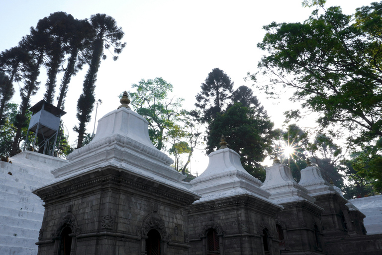 Det bästa av Katmandu: Privat guide, bil och personlig turHeldagsvandring främmande språk