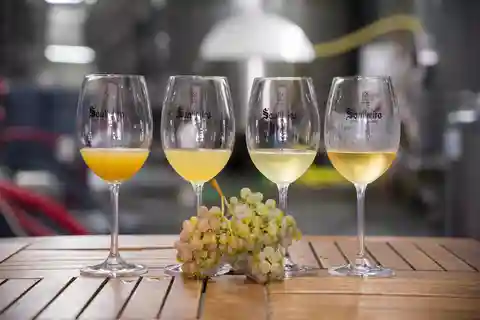 Vinho Verde: Private Wine Tasting w/ Tapas & Fortress Visit