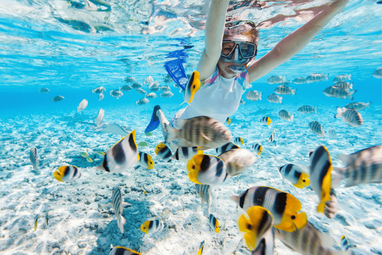 Nusa Penida: Increíble excursión en barco con guía para bucear con MantaExcursión de snorkel a peces y corales de colores