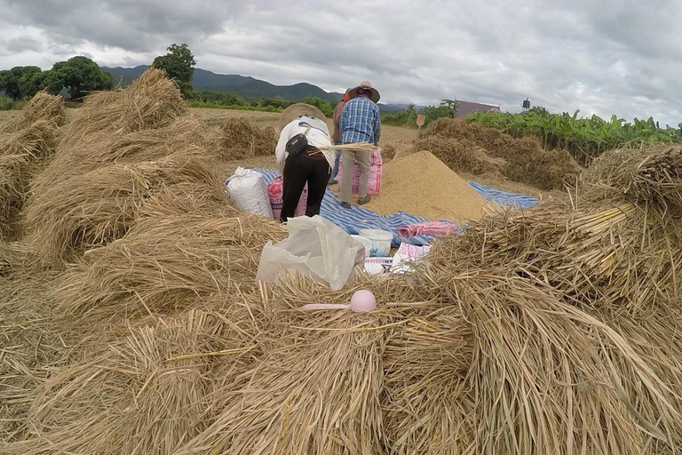 Chiang Mai: Sticky Waterfalls, Blue Pink Temple, and Cycling Chiang Mai: Sticky Waterfalls, Blue Pink Temple, and Market