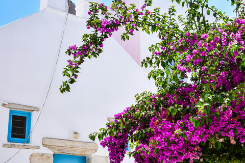 Antiparos Half-Day Tour: Cave, Beach & Old Town