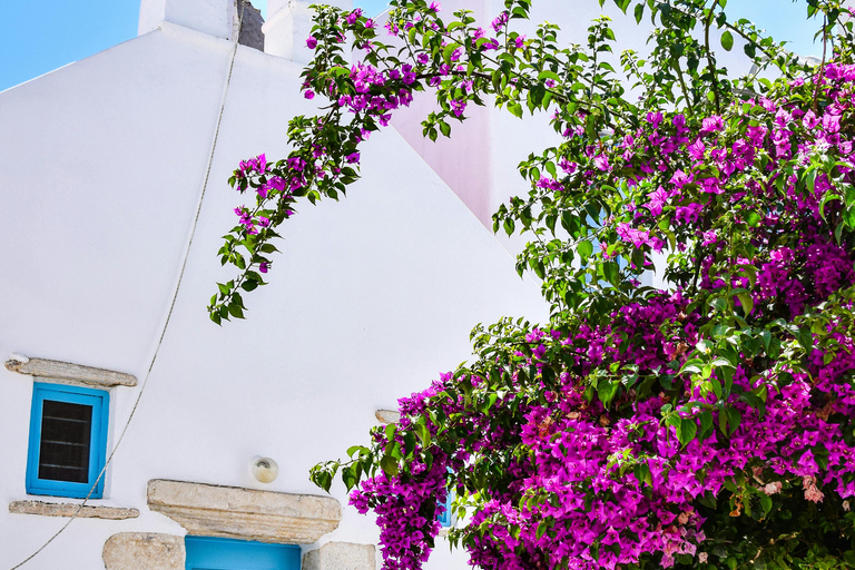 Antiparos Half-Day Tour: Cave, Beach & Old Town